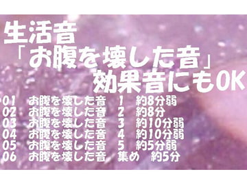 生活音「お腹を壊した音」効果音にもOK [にくきゅう ぽこ]