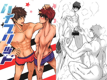 ハイブリッド [清澄新大橋アベニュー10]