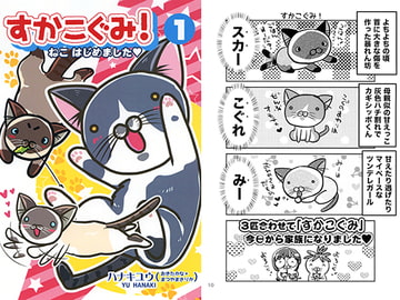 すかこぐみ！Vol.1 [らっこの小部屋]