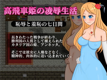 高飛車姫の凌○生活～恥辱と羞恥の七日間～ [さざめき通り]