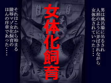 女体化飼育 [女人化研究所]