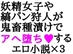 妖精と狩人陵○小説