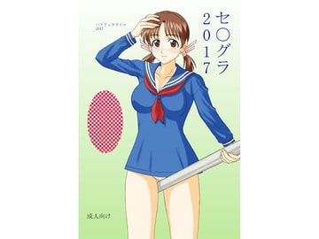 セ○グラ 2017 [FSI]