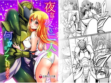 夜な夜な二人が何かシています [木金堂]