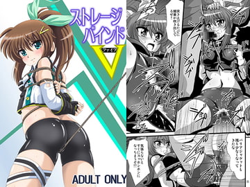 ストレージバインドV [サーティセイバーストリート]