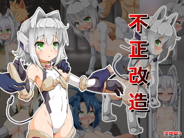 不正改造 [カニフライ]
