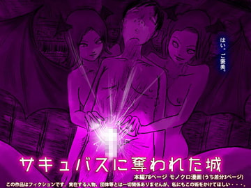 サキュバスに奪われた城 [フリークスタジオ]