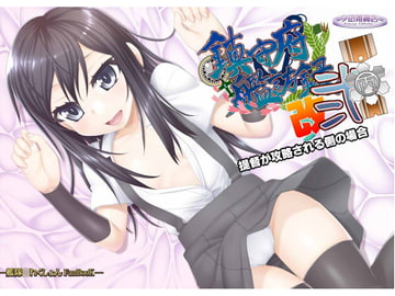 鎮守府艦訪録改弐丙～提督が攻略される側の場合～ [夕凪雑貨店]