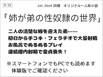 姉が弟の性奴○の世界 [wordworks]