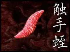 触手蛭