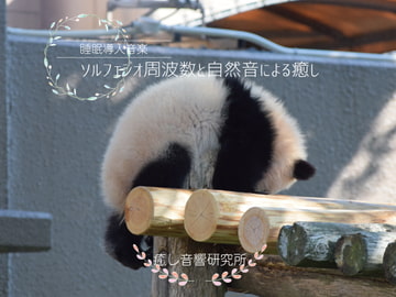 ソルフェジオ周波数と自然音による癒し [癒し音響研究所]