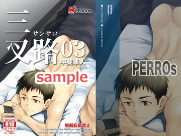 三叉路-03- [PERROs]