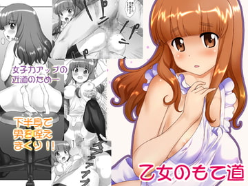 乙女のもて道 [イロニム]