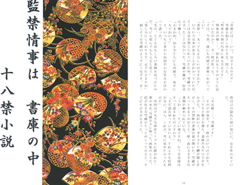 監禁情事は書庫の中 [さくら狩り]