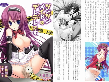 ツンツンメイドはデレデレです [青橋商店]