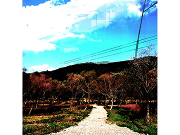 BGM SOUND MATERIAL [Nobody Circus]