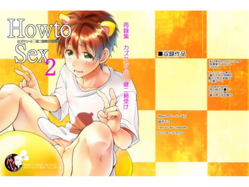 How to sex2 [姉苺]