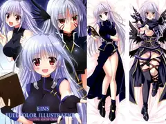 EINS FULL COLOR ILLUSTRATIONS