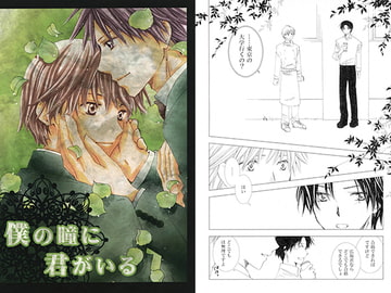 僕の瞳に君がいる [放課後探偵団]