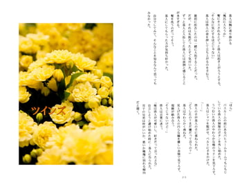 ツインズ / 織末彬義 [アカプルコの月企画]