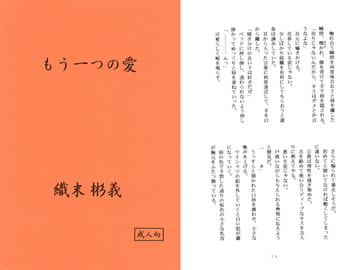 もう一つの愛 / 織末彬義 [アカプルコの月企画]