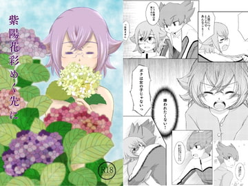 紫陽花彩めく先に [星空チョコレート]