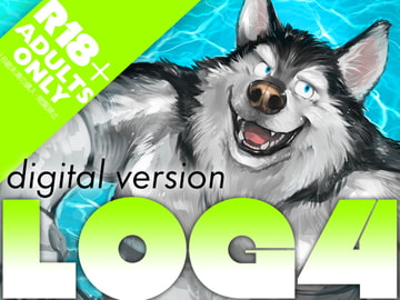 LOG4 [northern lights]