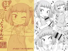 妹とハメてどうすんだ