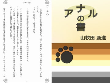 アナルの書 [Gradual Improvement]