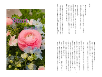 Start / 織末彬義 [アカプルコの月企画]