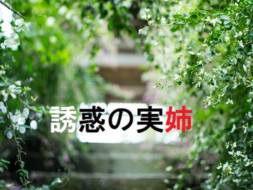 誘惑の実姉 [Sensual Story]