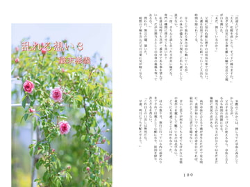 乱れる想い3/織末彬義 [アカプルコの月企画]