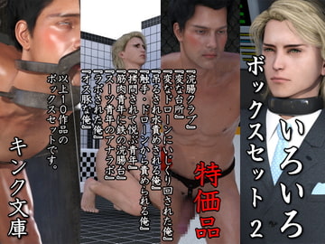 Miscellaneous Bargain Box Set 2 [Kink Bunko]