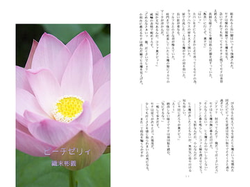 ピーチゼリィ [アカプルコの月企画]