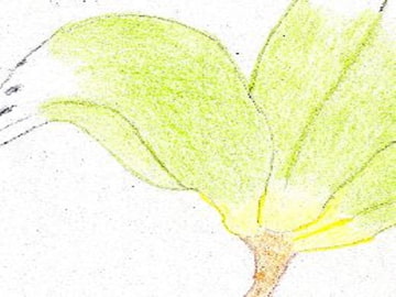 卯 [仏の顔も3度くらい]