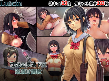 性奴会長地下室薬漬け調教 [るていん]