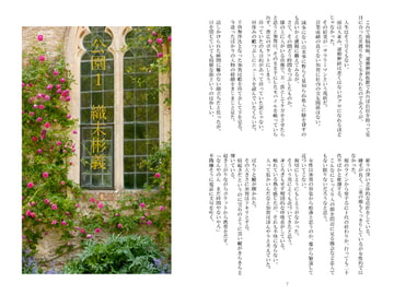 公園1　織末彬義 [アカプルコの月企画]