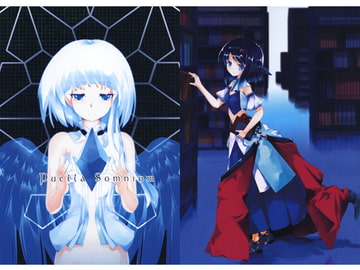 Puella Somnium [零月]