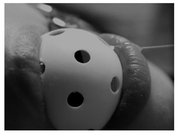 風俗劇場奇譚 [善鐘会]