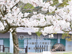 春のメロディー  バイノーラル録音した草原とピアノ [癒し音響研究所]