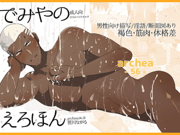 Demiya's Naughty Book [archea]