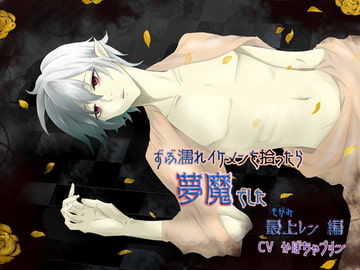 ずぶ濡れイケメンを拾ったら夢魔でした [フェリーチェ]