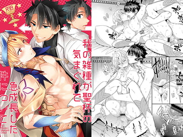 我の雑種が聖杯の気まぐれで急成長した件について [Crazy9]