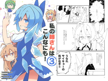 私の姉さんはこんなにも! 3 [春乃二式]