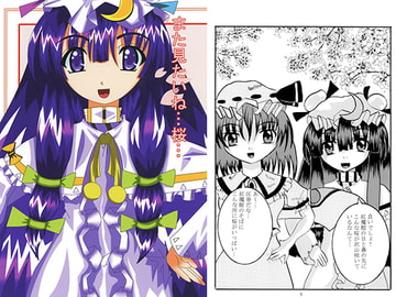 また見たいね…桜… [HEART CAPITAL]