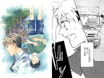 七日目の蝉 [trunkno.198]