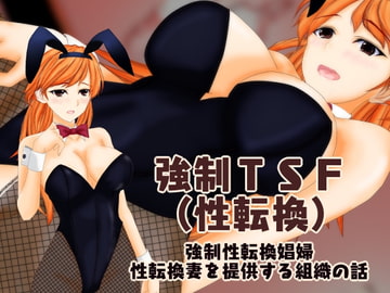 強○TSF(性転換) 強○性転換娼婦・性転換妻を提供する組織の話 [不条理女体化改造のお話し]