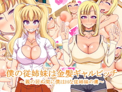 僕の従姉妹は金髪ギャルビッチ～親の居ぬ間に僕はHな従姉妹の虜～ [快感アルゴリズム]