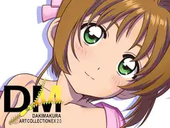 DM Dakimakura Art Collection EX2.0