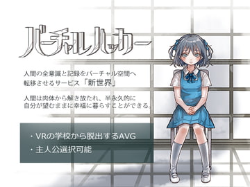 バーチャルハッカー [あとらそふと]